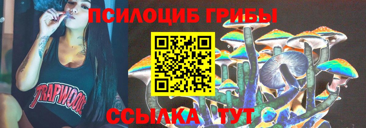 Галлюциногенные грибы Psilocybine cubensis Стрежевой